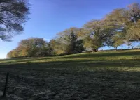 Stylish Chalet with Room