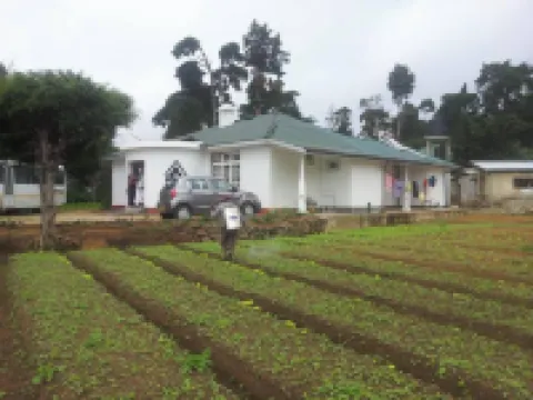 Silver Meir Bungalow