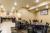 코블스톤 인 & 스위트 케임브리지