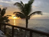 5 Nights Left in March  1 BR Oceanfront Condo Sleeps 4! Cane Bay! ST CROIX, USVI