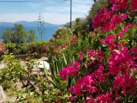 Nice studio, spacious, air-conditioned, near village, sea view in small residence. Hotels in Cargèse