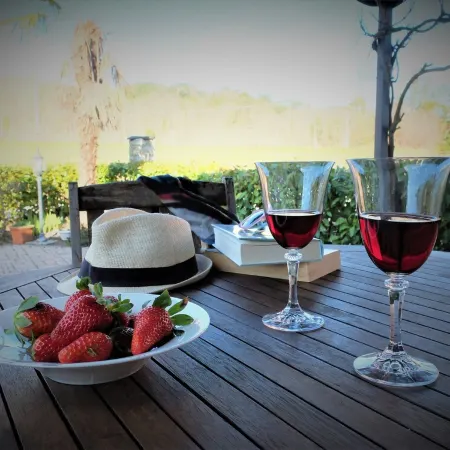 La Cheta - House in the hills with garden, between Lucca and the beaches of Viareggio