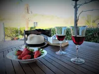La Cheta - House in the hills with garden, between Lucca and the beaches of Viareggio
