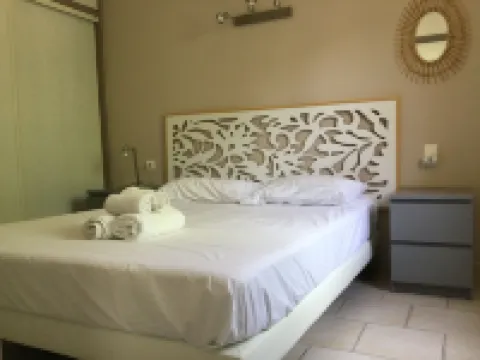 Property in the vaucluse province: Infinity pool / Jacuzzi / View