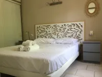 Property in the vaucluse province: Infinity pool / Jacuzzi / View