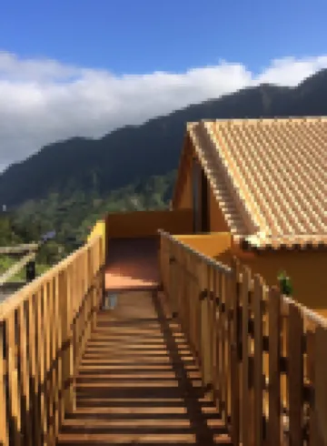 Yellow Attic S. Vincent