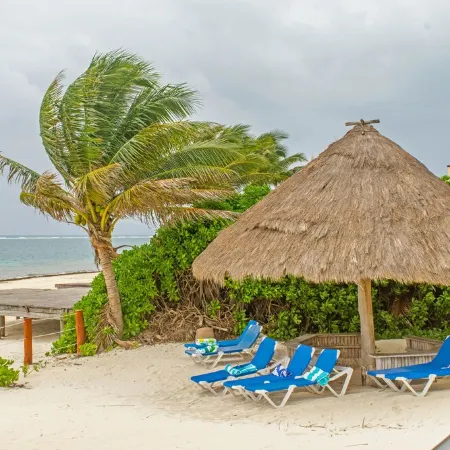 Beachfront Puerto Morelos Condo, Ground Floor, Pool, Rooftop Views, Walk to Town