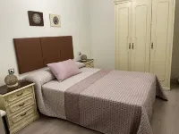 Cozy apartment next to Puerta de San Pedro (Roman Wall)
