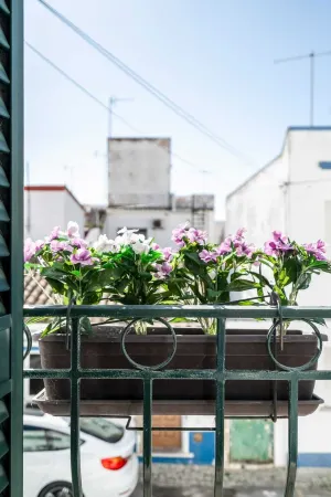 Mouzinho Blue Apartment Отели в г. Консейсан