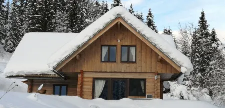 ALMHÜTTE IN THE NATIONAL PARK JULIAN ALPN -BOHINJJ Отели в г. Бохінь