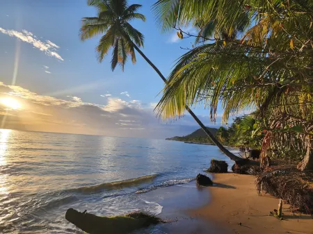 Ashford by the Beach 1  Bedroom King Size Steps by the Beach