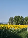 Country House 2 <br>