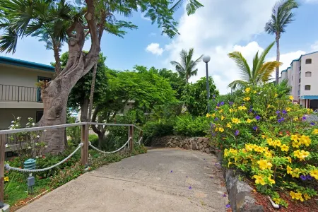 Our Walk in Paradise Level at Sapphire Village, East End Отели в г. Сент-Томас