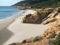 Apartment sun and sea or rather on the sea