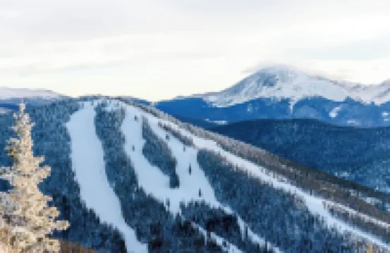 “野愛爾蘭人＃1093由山區縣度假勝地提供