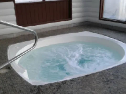 Alpine Inn Hotels in Valemount
