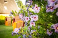 Hotel Das Kleine Glück - Adults Only Hotels in Sankt Peter-Ording