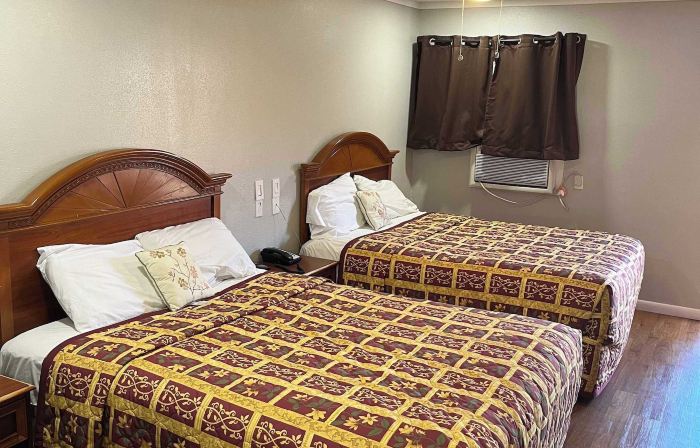 Ladybird Inn