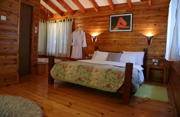 阿萊加利爾酒店