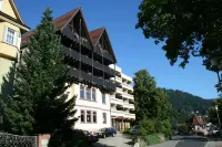 Hotel Bergfrieden Hotels in Bad Wildbad