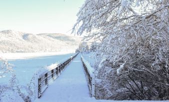 Golden Bear Cottages
