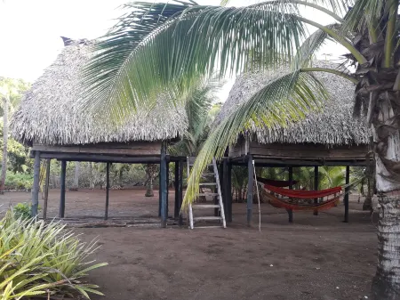 Hostal Pachamama Отели в г. Las Escobas del Venado