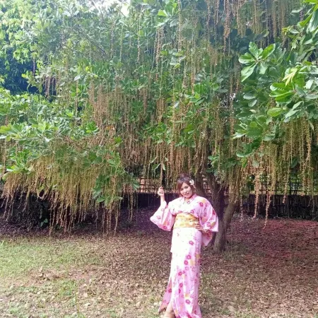 Bamboo Grove Chiang Mai
