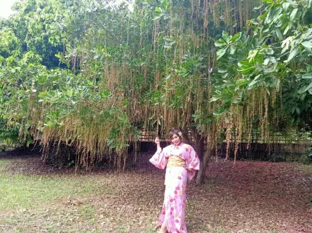 Bamboo Grove Chiang Mai