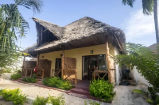 Moayana Liora Zanzibar