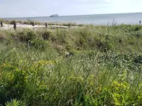 The Sunflower Bungalow SPRING SPECIAL!  MARCH AND APRIL!  DISCOVER CAPE MAY!