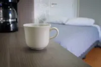 Zurban Travelers Hotels in 