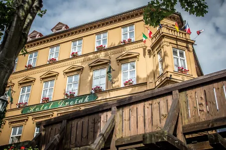 Hotel Dvorak Cesky Krumlov Отели в г. Чески-Крумлов