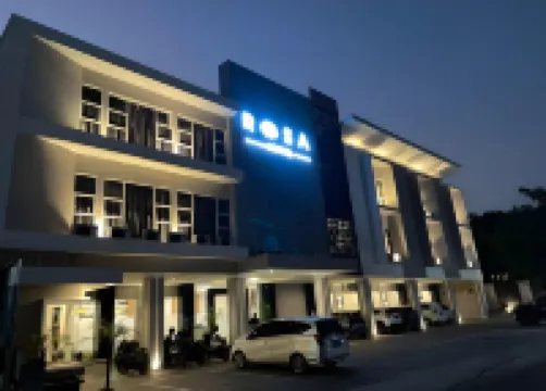 Rosa Hostel Hotels in 