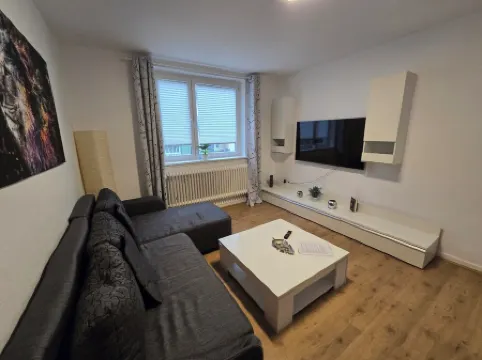 Large modern vacation apartment