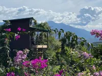 Treehouse on a Coffee Farm with Ocean View