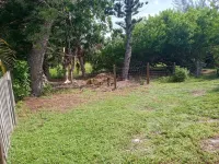 Paradise 4-Bedroom House in Marco Island
