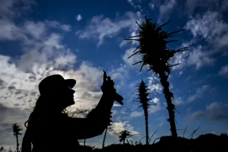 Cozy, loft lodging in SCUBA capital. Steps from BioParque, 12 min to la playa!