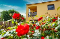 Sapphire House - whole house with garden