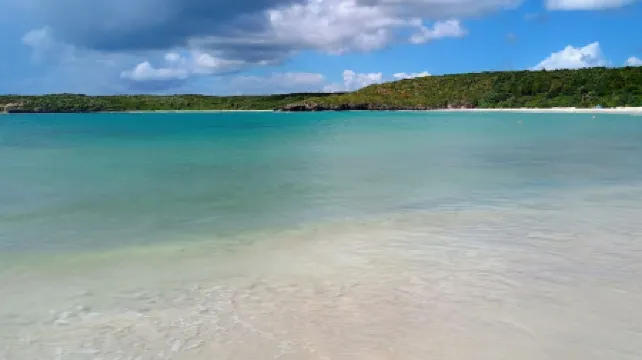 Stay Near the Bio Bay in Comfort Apt A – Walkable Esperanza Gem! BioBay Inn