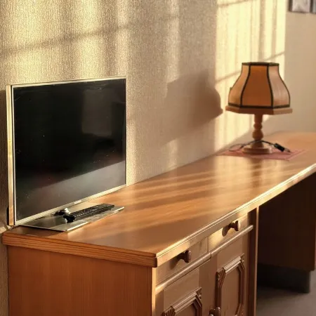 In & Out boarding house comfort room