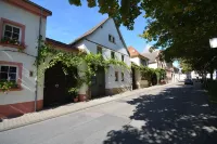 Loft! 100qm!weinberge! Wandern! Radfahren! Rhein!leben!