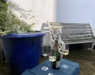 Perfect 4-bedroom house with WiFi in charming Colyton