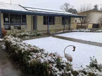 Kookaburra Cottage Berridale Hotels in Berridale