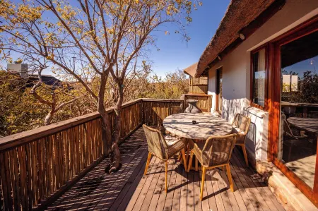 Mhondoro Safari Lodge & Villa