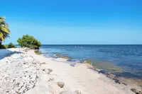 Oceans 23 - Beach