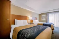 Comfort Inn Hotels in Chilliwack