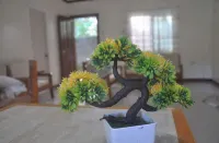DOUBLE ROOM B