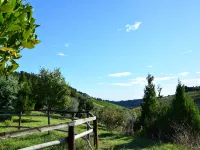 Apartment in Marche near Adriatic Beaches - Apartments