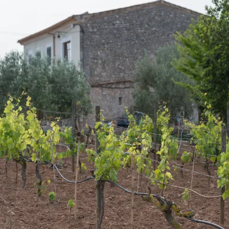 Sa Vinyota - Villa With Private Pool In Llubi