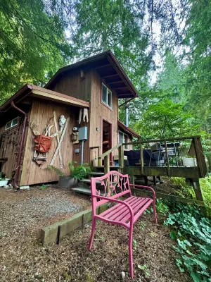 Cozy Tiny Cabin with RIVER VIEWS! Sleeps 3, hot tub, wood stove, fire pit! Hotels near Eagle Falls